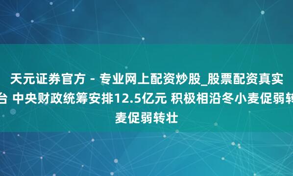 天元證券官方 - 專業(yè)網(wǎng)上配資炒股_股票配資真實(shí)平臺(tái) 中央財(cái)政統(tǒng)籌安排12.5億元 積極相沿冬小麥促弱轉(zhuǎn)壯