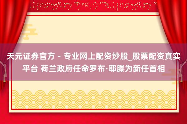 天元證券官方 - 專業(yè)網(wǎng)上配資炒股_股票配資真實平臺 荷蘭政府任命羅布·耶滕為新任首相